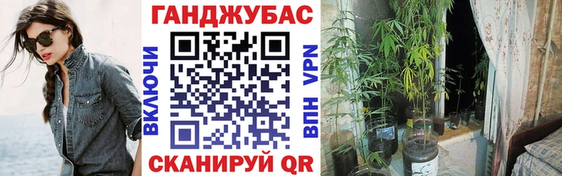 Марихуана семена  купить наркотики сайты  Вытегра 